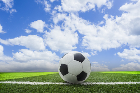 win007即时比分live应用展示